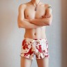 Shorts by WangJiang