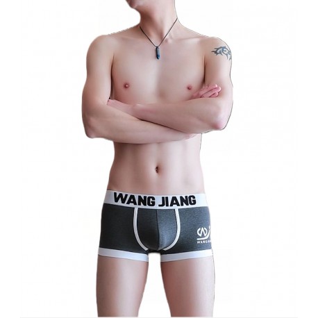 Боксери чоловічі WangJiang