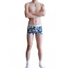 Visual Arts Boxer Shorts by WangJiang