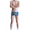 Visual Arts Boxer Shorts by WangJiang