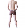 Grey Nylon Boxer Shorts by WangJiang