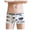 Black Nylon Boxer Shorts by WangJiang