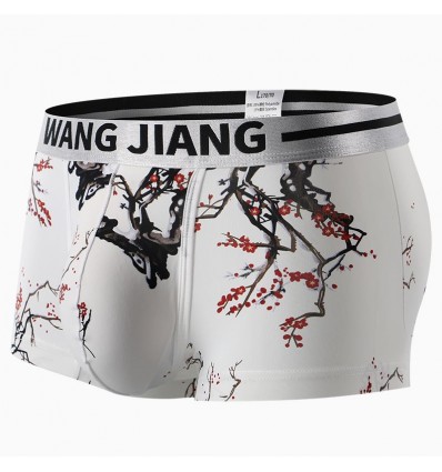 Open Front Nylon Boxer Shorts by WangJiang