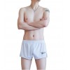 WangJiang Mesh Nylon Shorts 4034-JJK pink