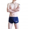 WangJiang Sexy Mesh Nylon Shorts 4034-DK deep grey