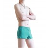 WangJiang Nylon Fabric Dot Trunks 3064-JJK green
