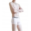 WangJiang Nylon Boxer Shorts 3065-PJ nude