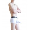 Cock Sock WangJiang Nylon Boxer Shorts 3065-XB white