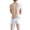 Cock Sock WangJiang Nylon Boxer Shorts 3065-XB nude