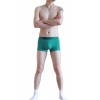 WangJiang Nylon Fabric Dot Boxer Shorts 3064-PJ green