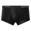 WangJiang Transparent Polyester Fabric Boxer Shorts 3067-PJ black