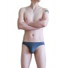 WangJiang Nylon Low Rise Sexy Brief G6002-SJ Grey