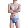 WangJiang Nylon Low Rise Sexy Brief G6002-SJ Blue