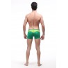 Swimming Boxer Shorts by WangJiang